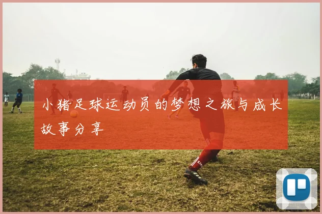 小猪足球运动员的梦想之旅与成长故事分享