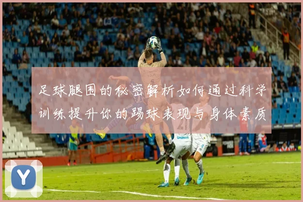 足球腿围的秘密解析如何通过科学训练提升你的踢球表现与身体素质